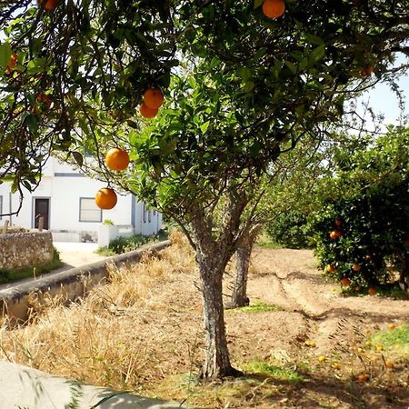 Casas Do Pomar Villa Lagos Phòng bức ảnh
