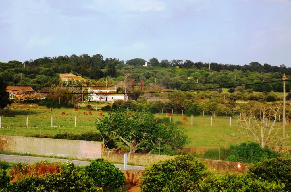 Casas Do Pomar Villa Lagos Phòng bức ảnh